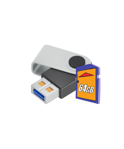 الفلاشات والذواكر