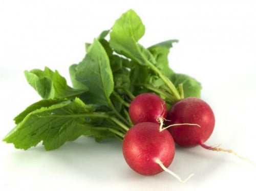 بذور فجل احمر 2جم