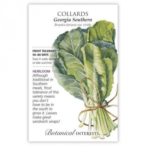 بذور كولارد جورجيا - Georgia Southern Collards Seeds