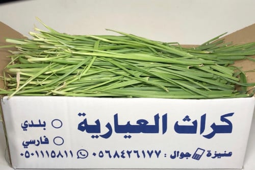 كراث العيارية كرتون