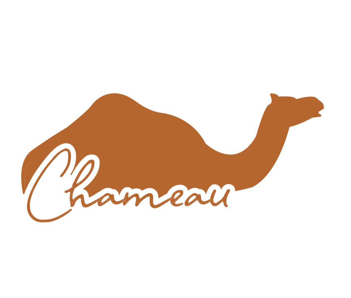 store avatar