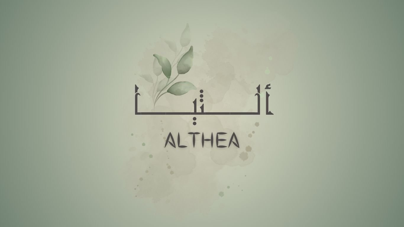 store avatar