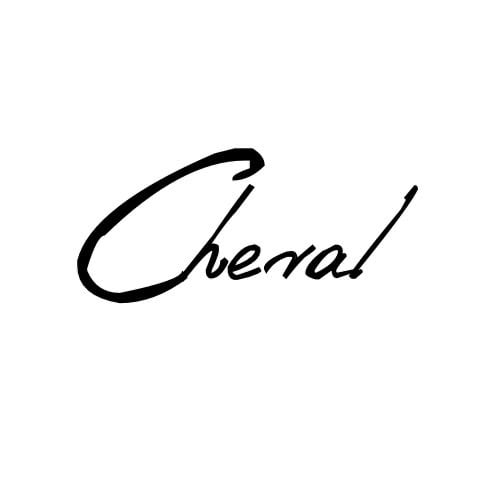 store avatar