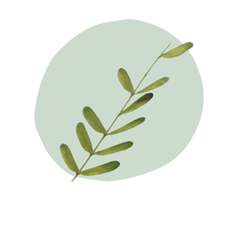 store avatar