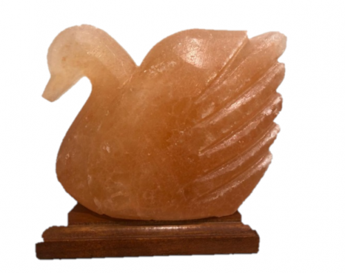 مصباح ملح الهيمالايا (وز)