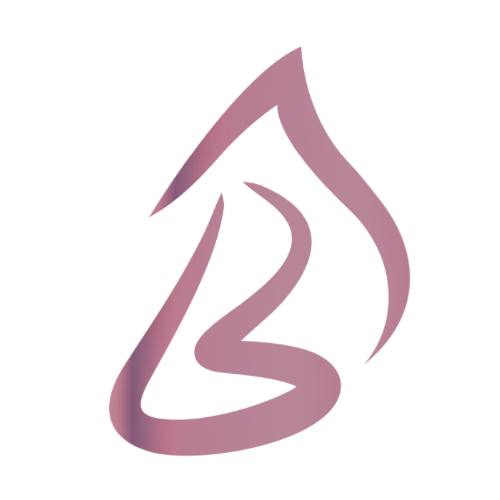 متجر البارونه