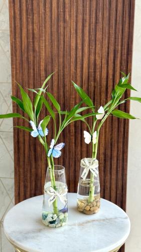 فازة سمكة ( 3 )