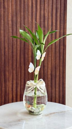 فازة سمكة ( 2 )