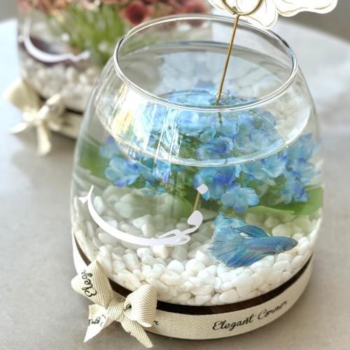 فازة سمكة ( 1 )