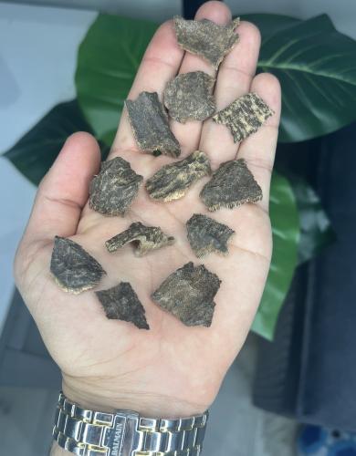 دقة فيتنامي دبل ملكية