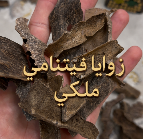 زوايا فيتنامي ملكي