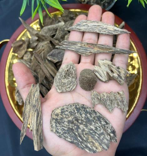 مروكي حي دبل ( ارياني ) VIP