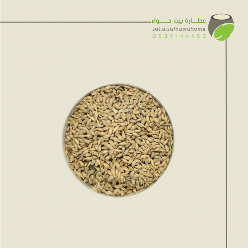 شعير ( Barley )