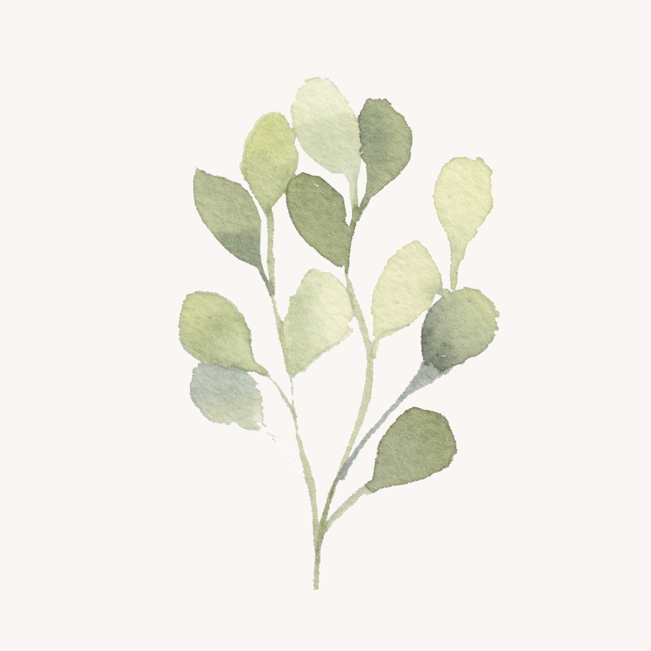 مصاحف كبيرة