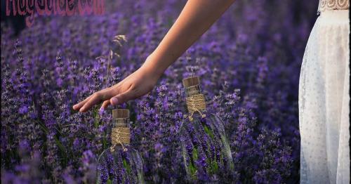 Two lavender-scented perfumes – Sauvage Dior &amp; Libre Intense