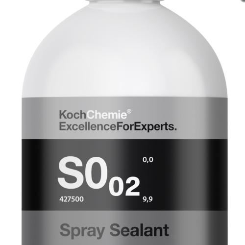 ملمع وحماية اللمسة النهائية 500 مل Spray Sealant