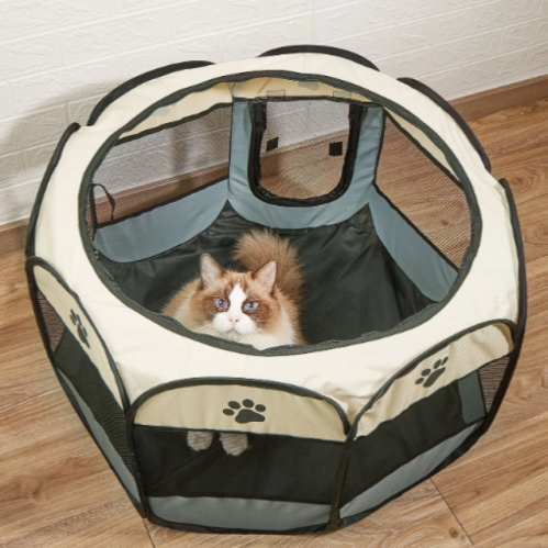 خيمة قطط - وسط
