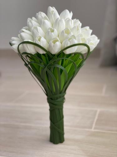 مسكة توليب قاعده كلاسيك