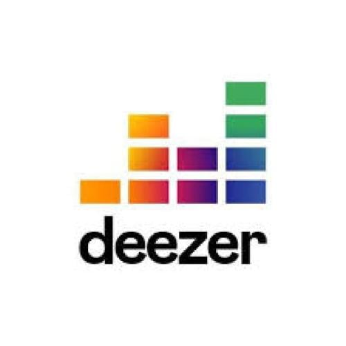 DEZEER PREMIUM 12 MONTHS