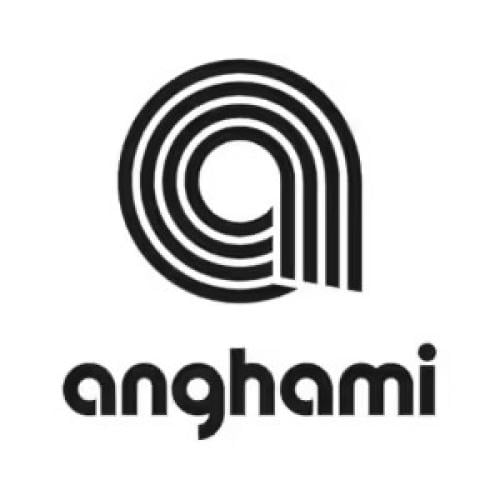 Anghami Subscription