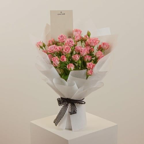 الأميرة الوردية | Pink Princess