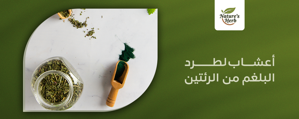 أعشاب لطرد البلغم من الرئتين