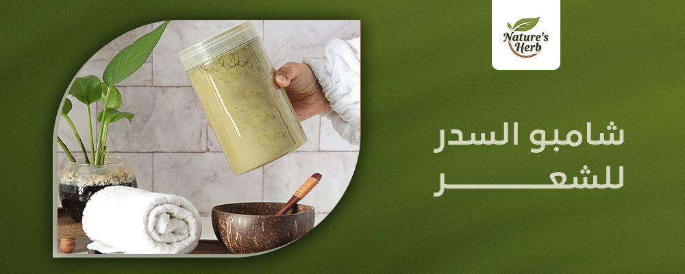 شامبو السدر للشعر