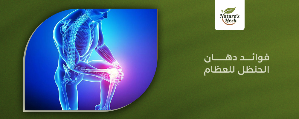 فوائد دهان الحنظل للعظام