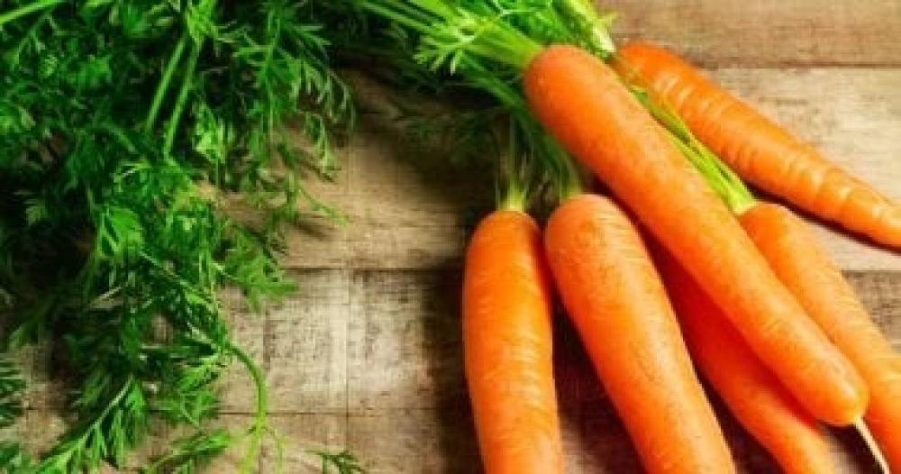 من مزرعة باسكت الاقتصادية إلى مائدتك: الجزر الطازج لصحة أفضل