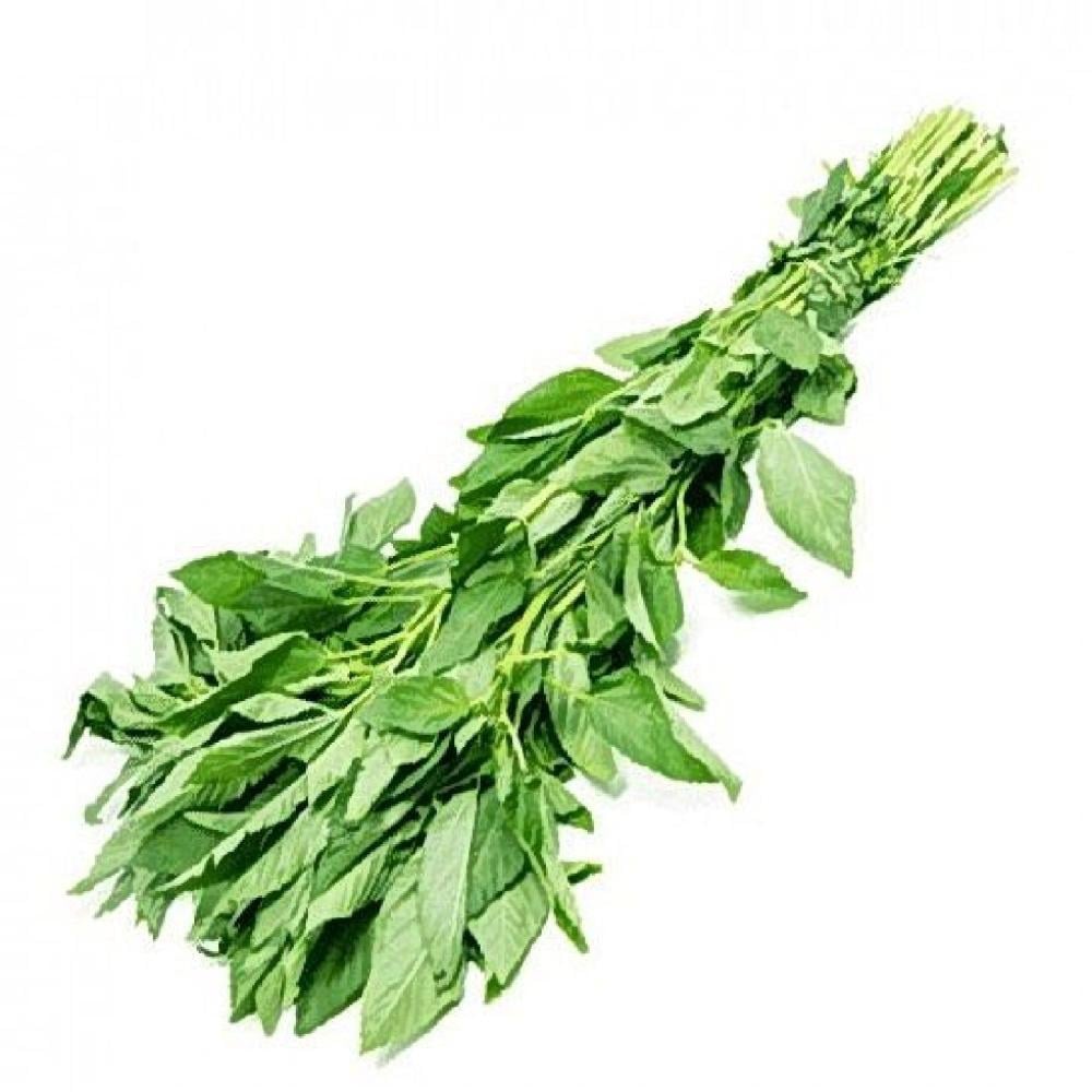 ملوخية خضراء