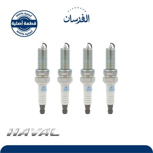 H6 طقم بواجي هافال