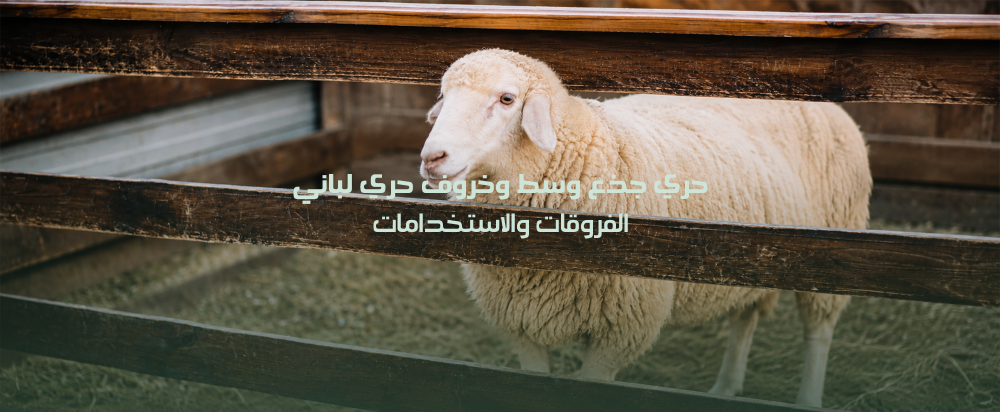 حري جذع وسط