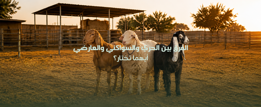 الفرق بين الحري والسواكني