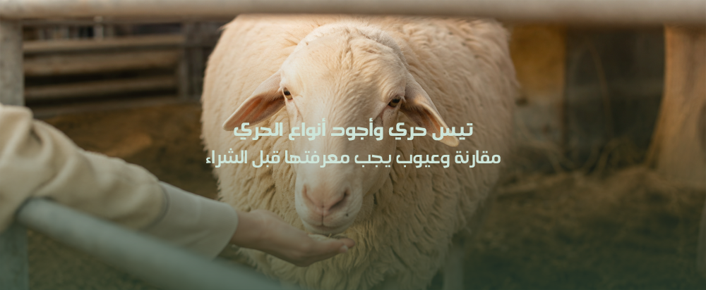 تيس حري
