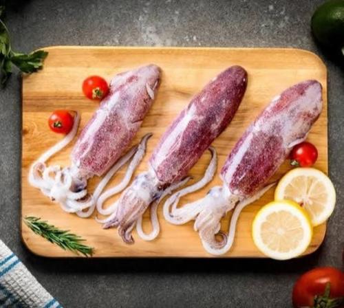 حبار - كالاماري- squid السعر للكيلو
