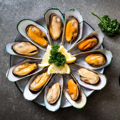 محار - oyster السعر للكيلو