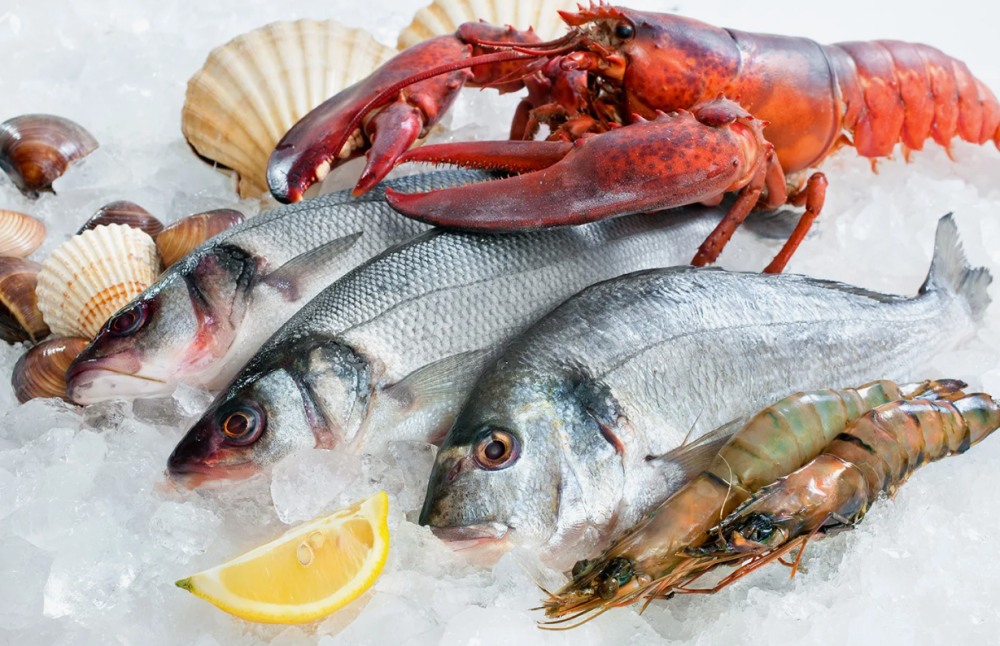 افضل متجر سمك طازج اونلاين بالسعودية