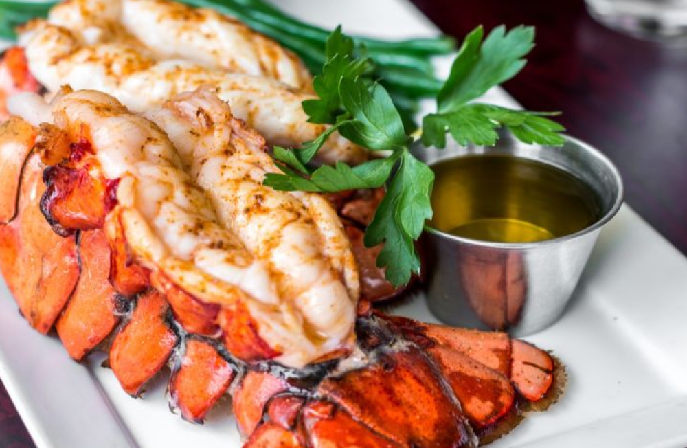 أفضل طرق طهي الاستاكوزا في المنزل | وصفات سهلة وأخطاء يجب تجنبها – متجر السمّاك