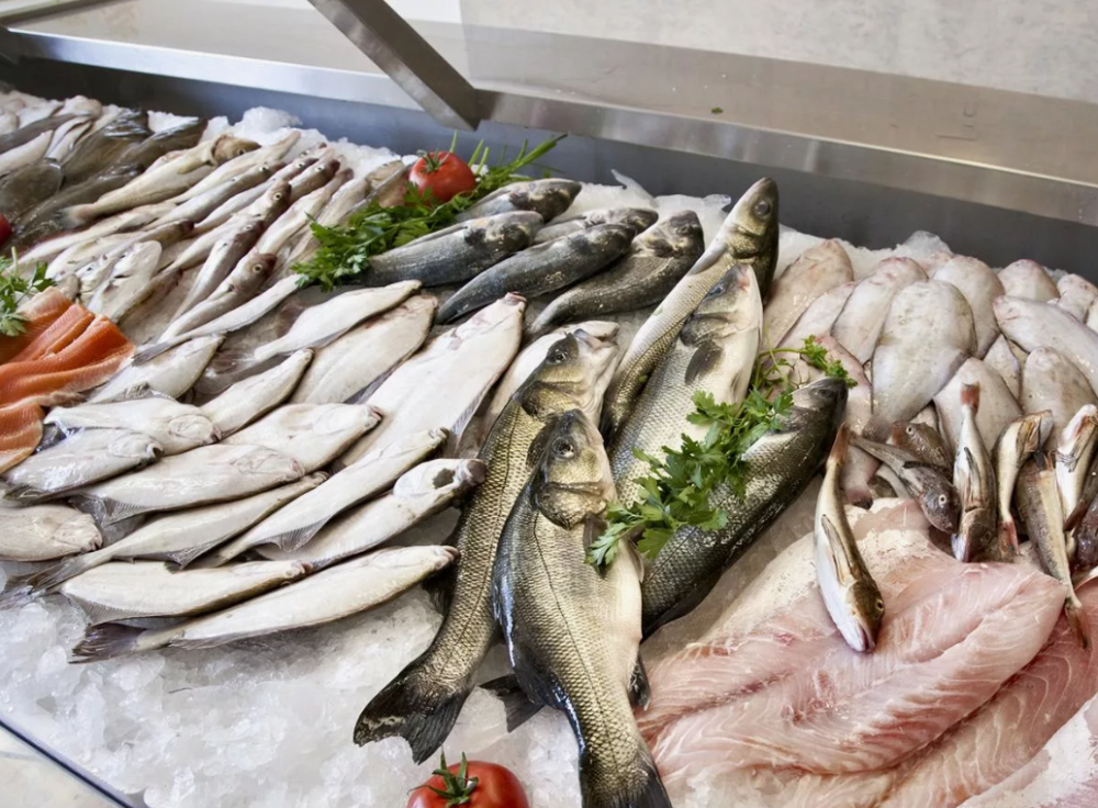 اسماك بحرية طازجة