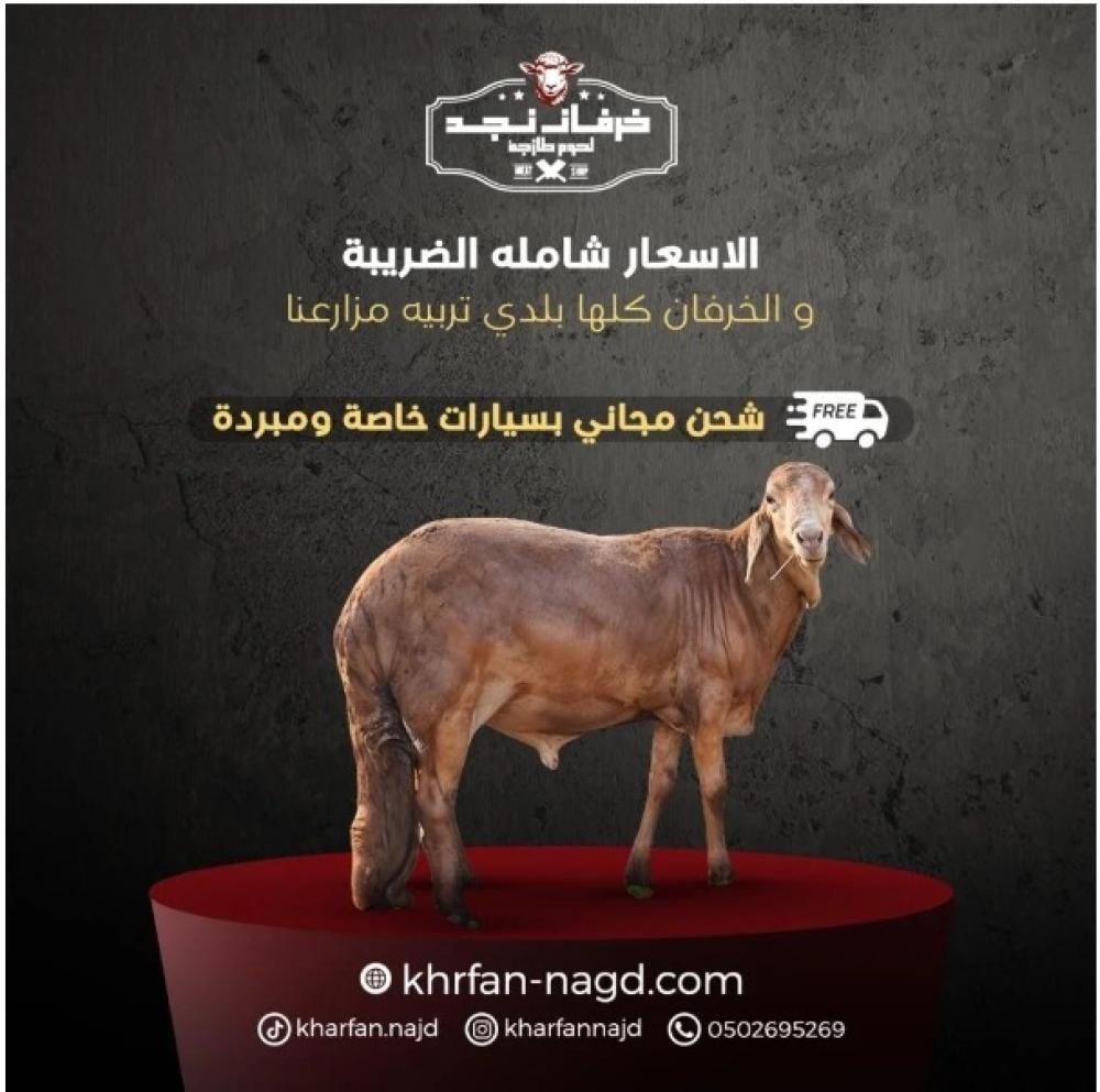 خرفان السواكني من خرفان نجد: جودة اللحم ومذاق أصيل يليق بمناسباتك