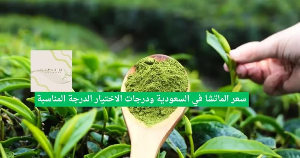سعر الماتشا في السعودية