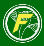 فاطمة