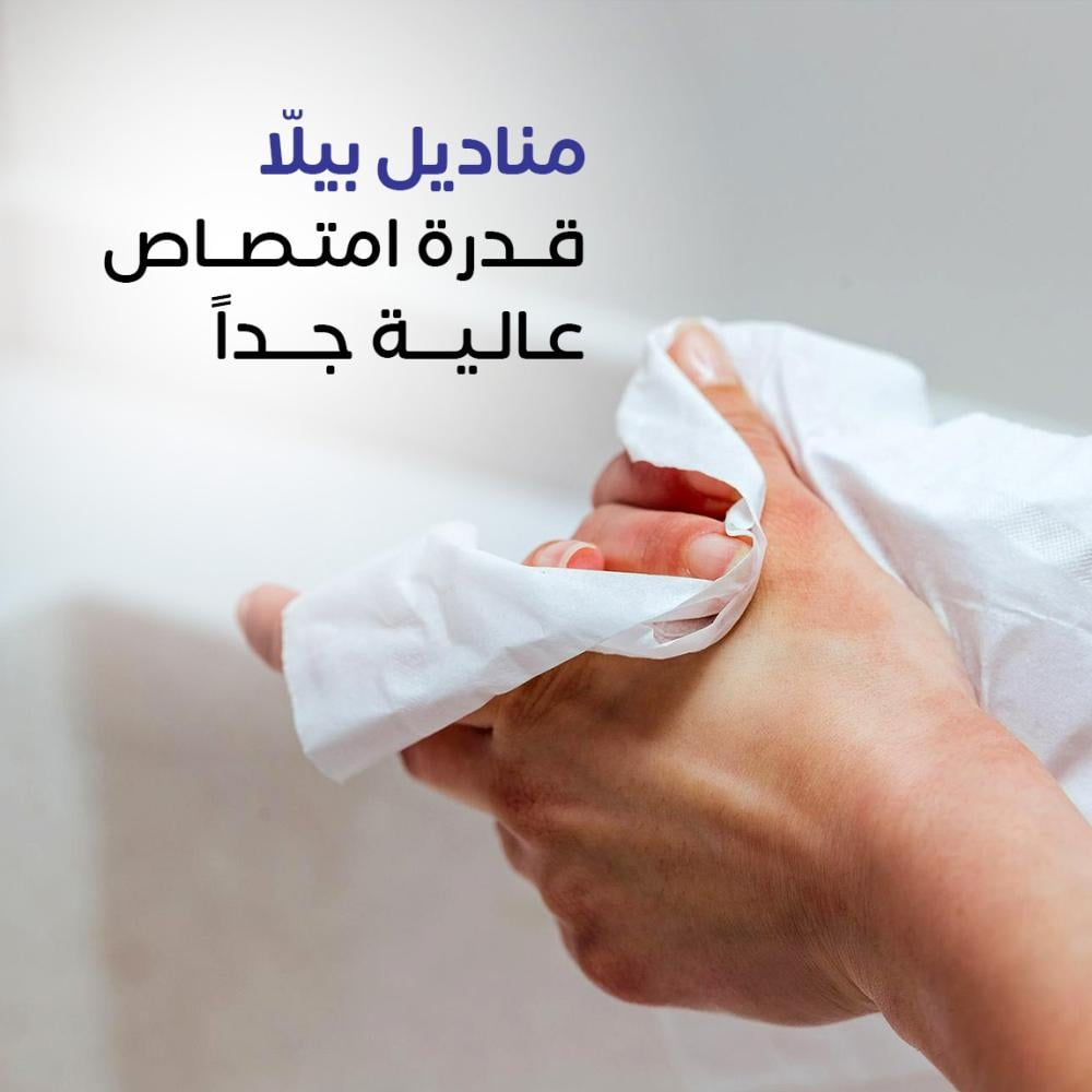 عرض اليوم وطني - بيلا 300