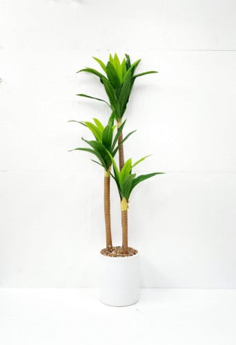 شجره صناعي اخضر بمركن رخام ابيض