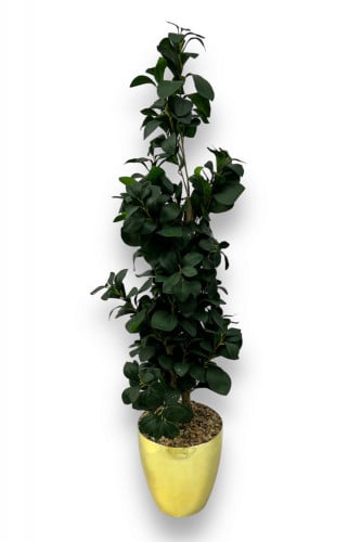 شجر صناعي بمركن ذهبي لامع 140 سم