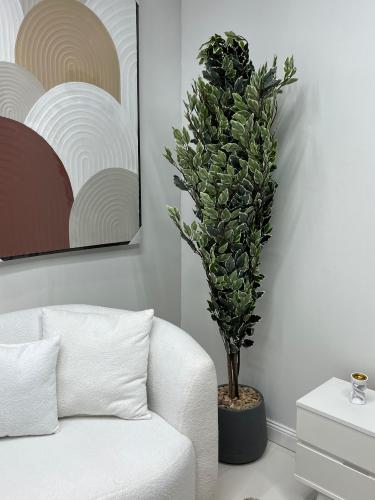 شجره ليمون  مع مركن فايبر بلاستك