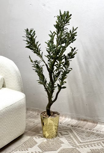 شجره زيتون بمركن ذهبي