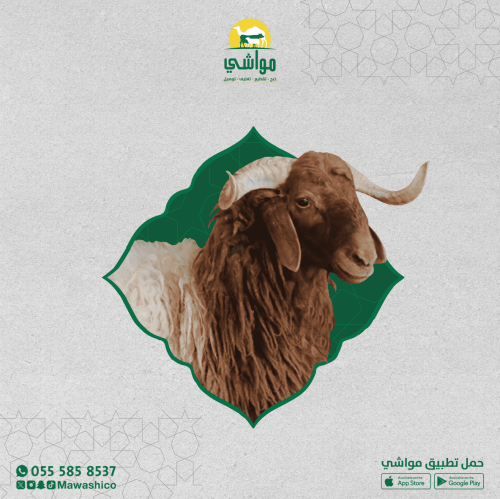 نعيمي جبر