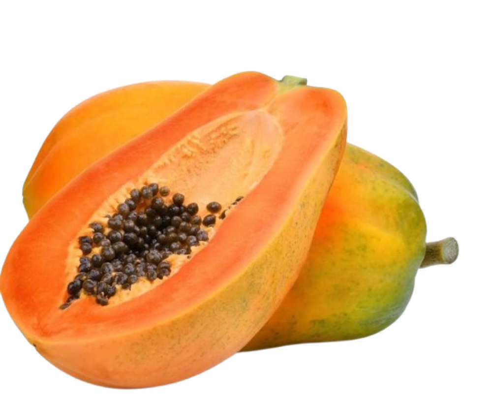 باباي سكري مستورد