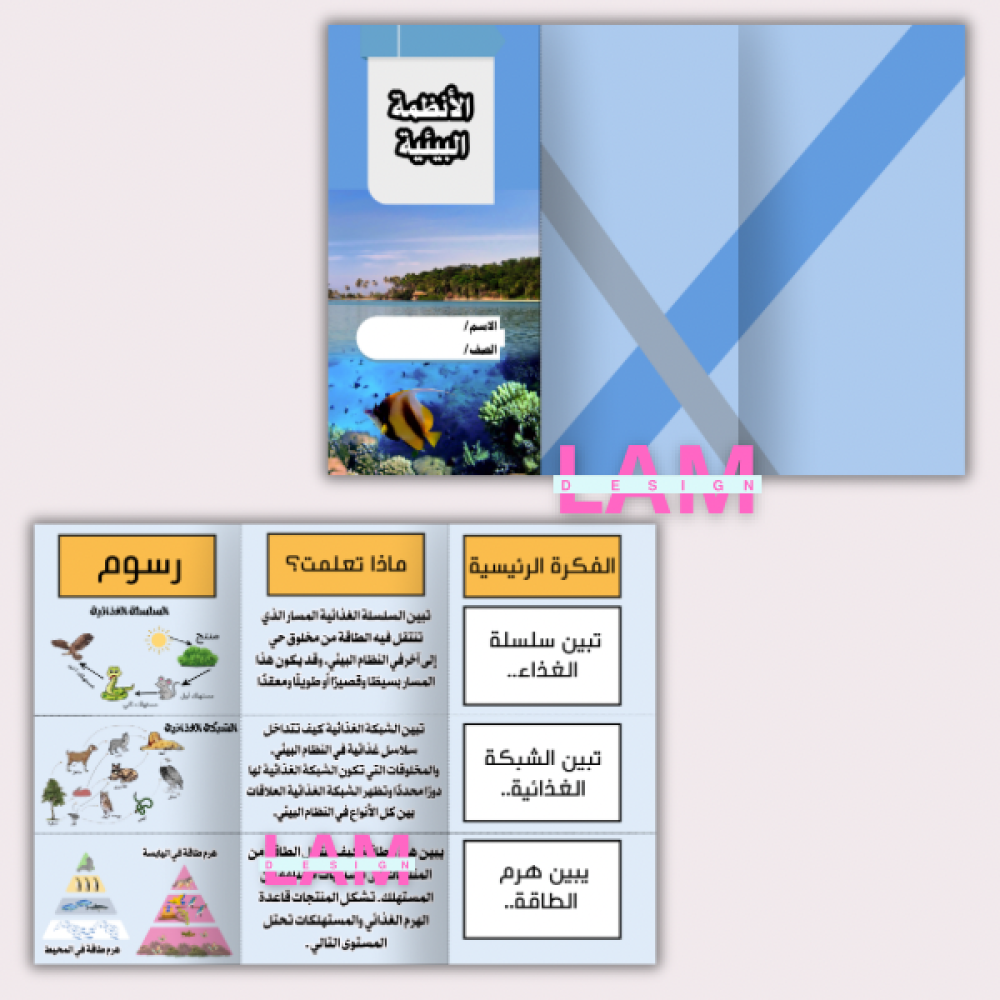 مطويات علوم سادس الترم الأول كامل